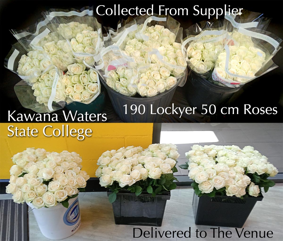 BULK FLOWERS